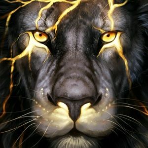 Meet your Posher, Laureano